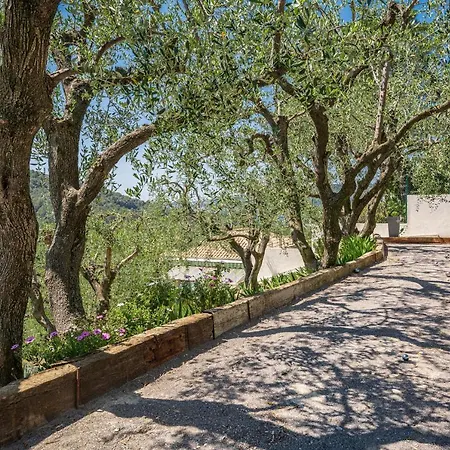 Villa Des Oliviers *