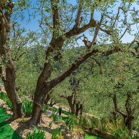 וילה Des Oliviers *