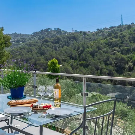 Des Oliviers Nizza