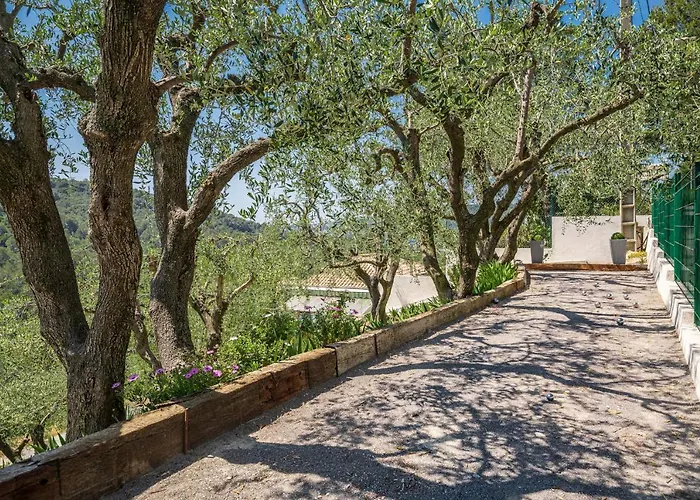 Villa Des Oliviers *